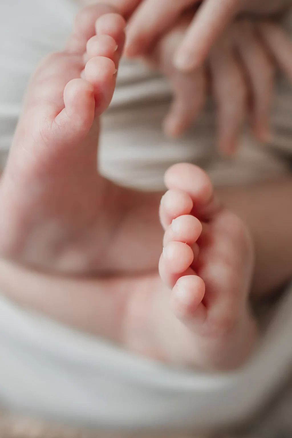 Photo des petites pieds de nouveau-né